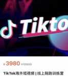 《低价项目》TikTok海外短视频线上陪跑训练营，价值3980，解决零低播放-赵富贵副业